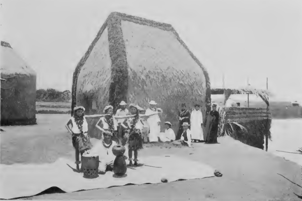 Hawaiian House Showing Steep-pitched Roof